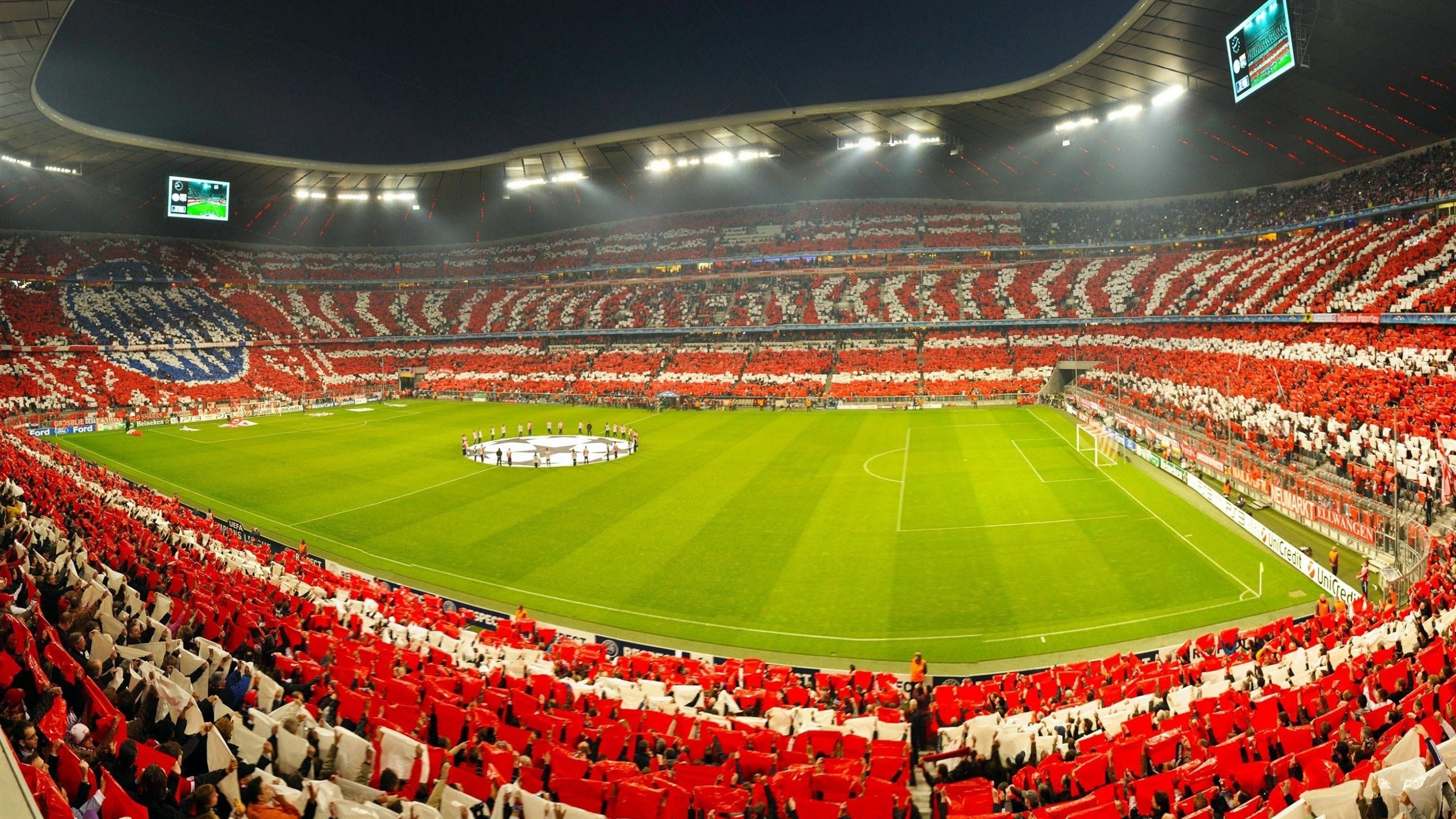 九游esport-南非羚羊队：每一场比赛都是他们全面能力的完美体现，非洲羚羊的种类及名称