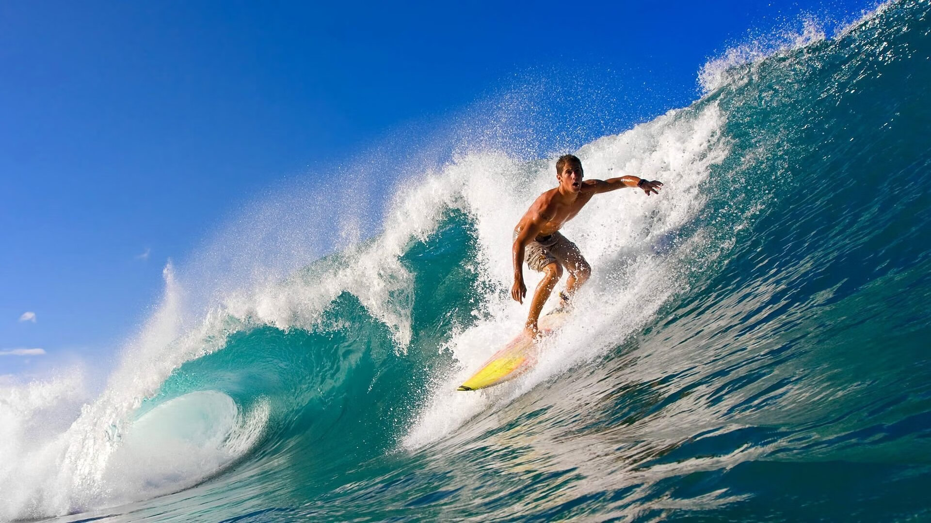 九游娱乐官网 (jiuyou)-法国橄榄球的成功转型，成为国际赛事不可忽视的力量，法国橄榄球队